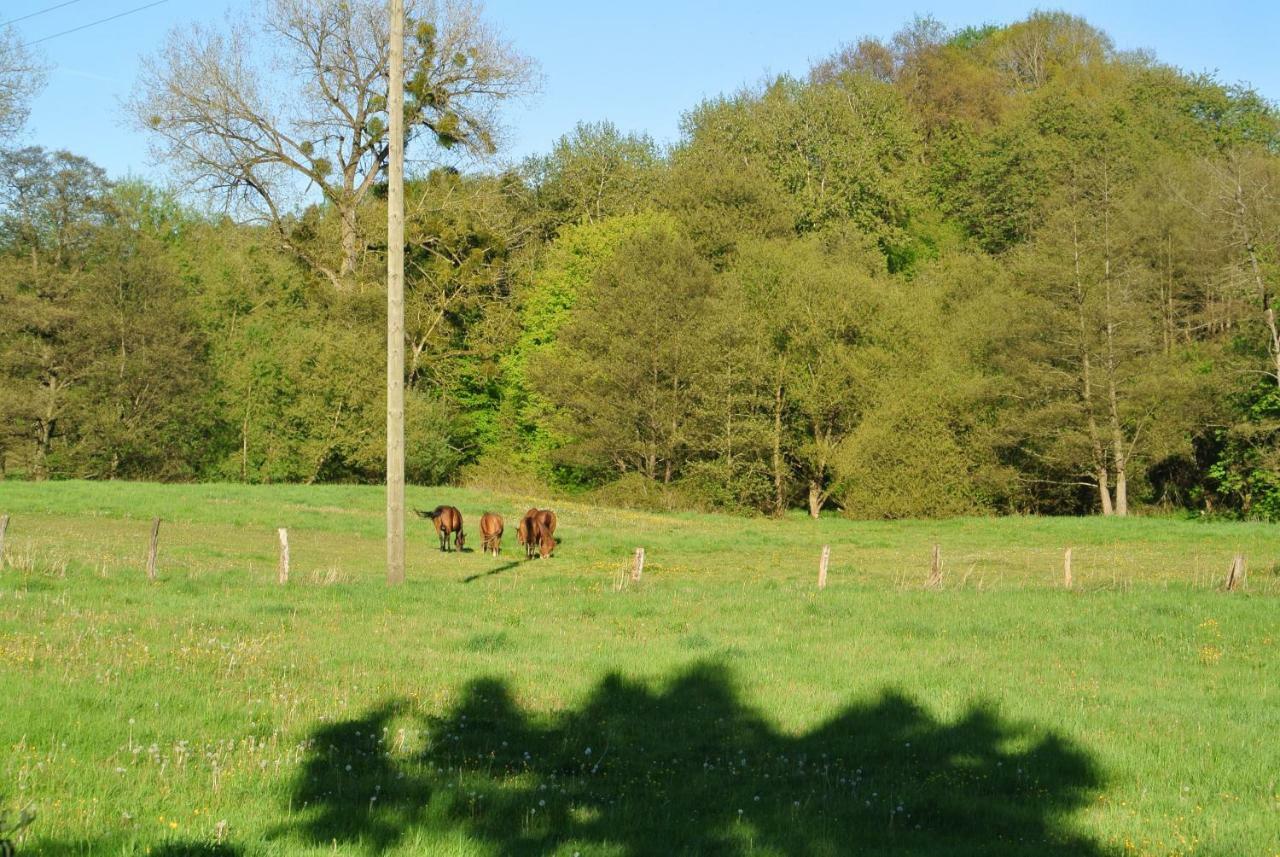 Ferienwohnung Zur Muehle Sotzweiler Exterior foto